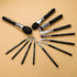 MASTER SERIES - 12 PCS CLASSIC BRUSH KIT - BRIGHT SILVER - EIGSHOW Beauty